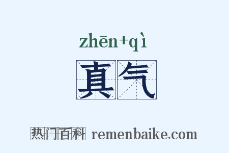 真气是什么意思的图片